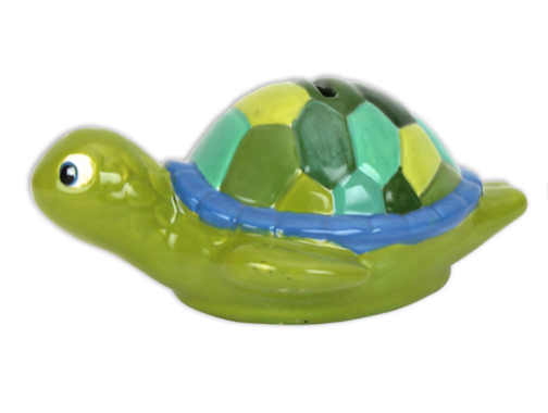 Sea Turtle Bank