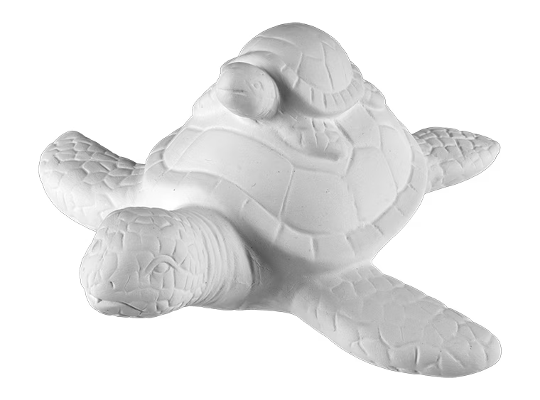 Turtle Pottery