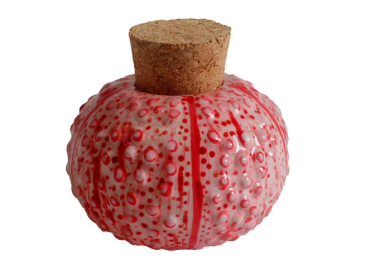 Sea Urchin Jar