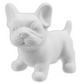 Mr French bulldog