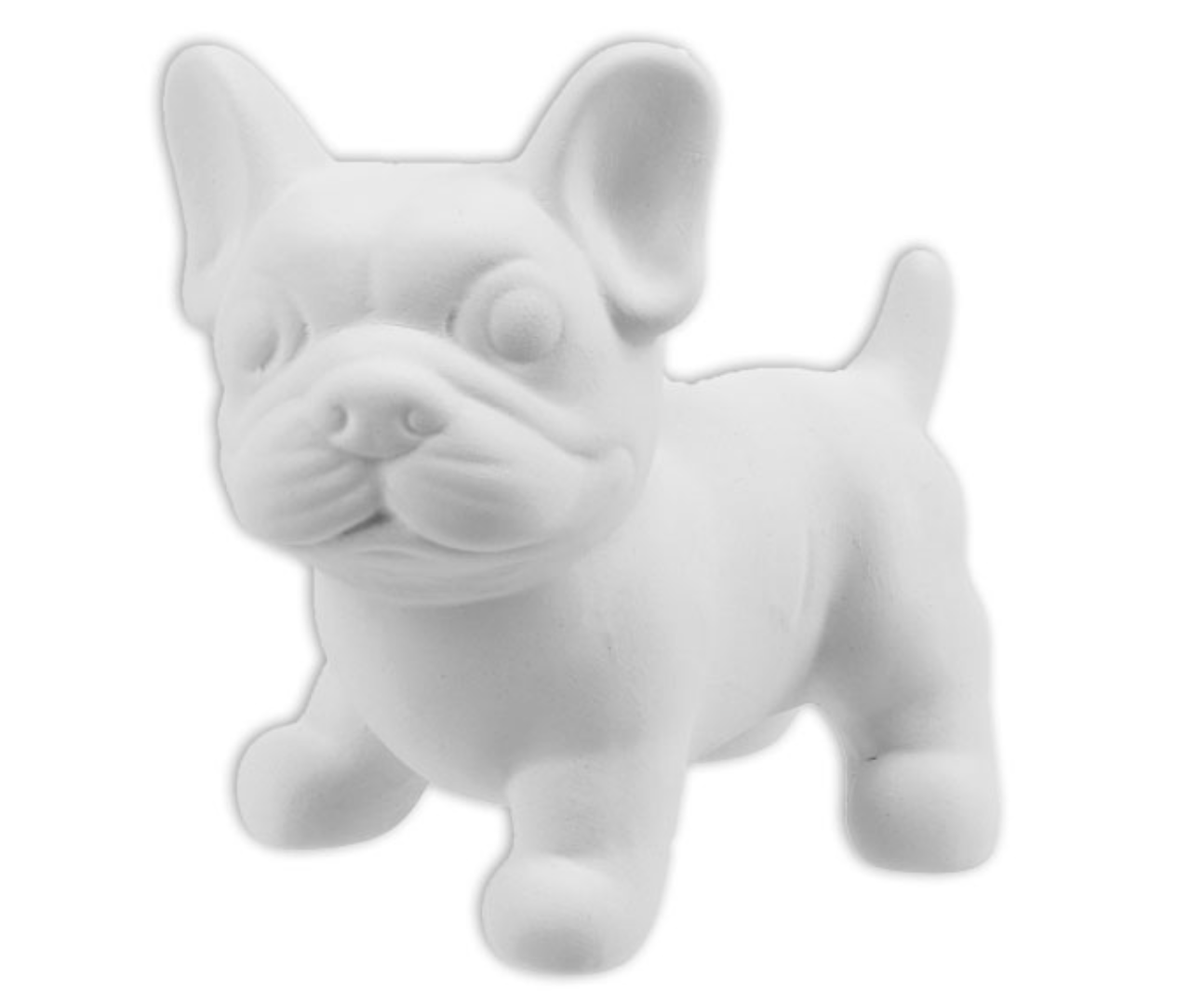 Mr French bulldog