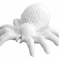 The Spider Tot