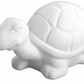 The Turtle