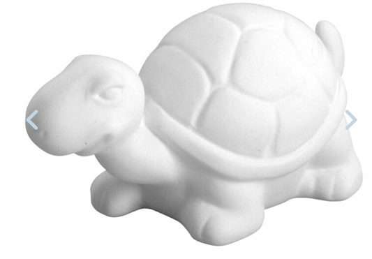 The Turtle