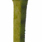Dino Pen, Prehistoric