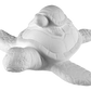 Turtle Pottery