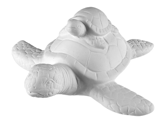 Turtle Pottery